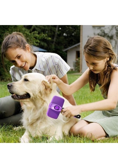Otomatik Temizlenebilen Tuşlu Pratik Kedi Köpek Tüy Toplama Fırça 555513311