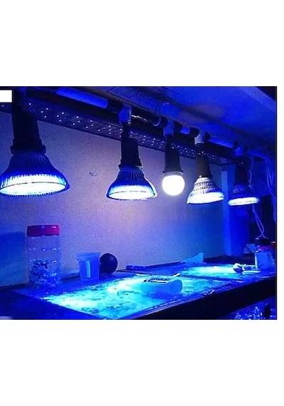 Kingbo Led Akvaryum Bitki Ampulü C256x