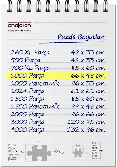 Anatolian 1000 Parçalık Puzzle - Gece Partisi 1205
