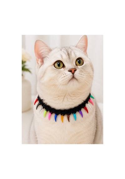 El Örgüsü Kedi Tasması Renkli Sarkıtlı Siyah El Yapımı Bağlamalı Kedi Boyun Aksesuarı