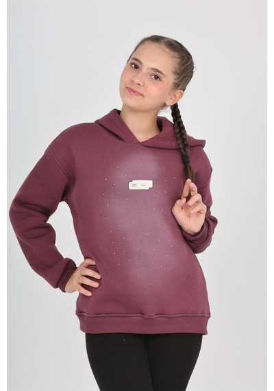 Toontoy Kız Çocuk Taş Dizaynlı Sweatshırt Mor