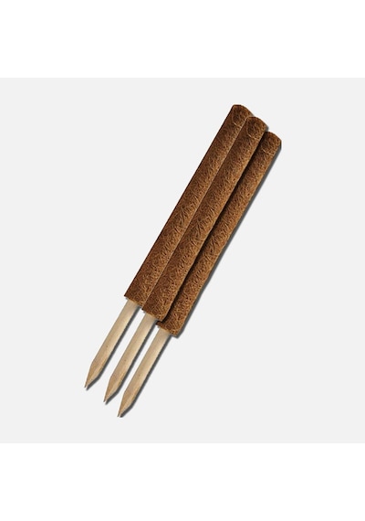Gardener Koko Sarmaşık Çubuğu 110cm