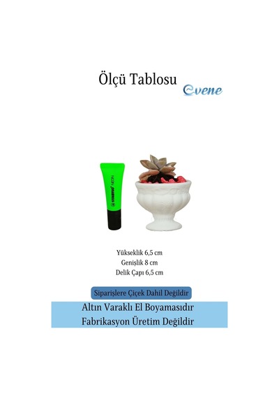 Kaktüs Saksısı Dekoratif Saksı Model 3 - Beyaz