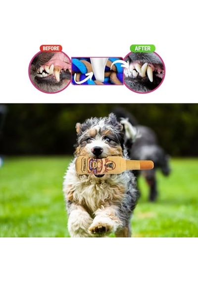 Pet's Family Kedi Sı,1300 Gr, 4'lü Paket Somonlu Kısır - Yetişkin 100 G