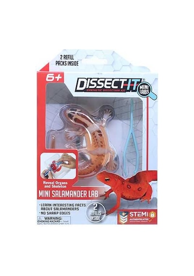 Slimy Dissect İt Mini With Magnifying Glass 38085
