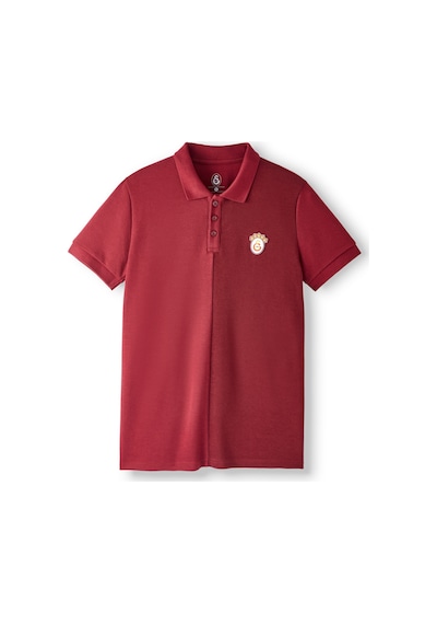 Gsstore Galatasaray Erkek Polo T-shirt E252103 Bordo