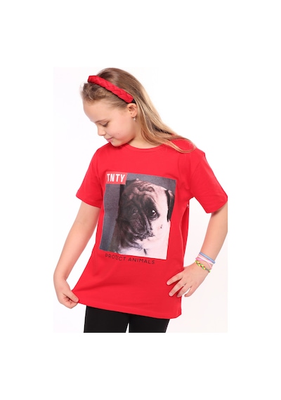 Toontoy Kids Toontoy Unisex Çocuk Önü Baskılı Tişört Su Yeşili