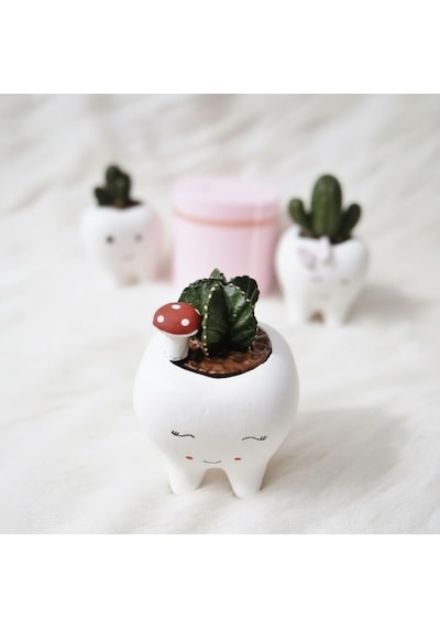 Mini Kaktüs Silikon Kalıp