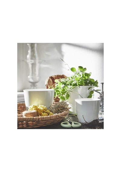 Sojaböna Toprak Saksı, Beyaz 88490278