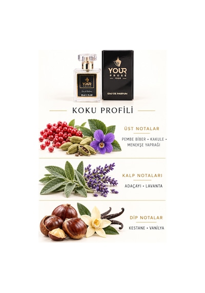 Your Prose E-210 50 Ml Eau De Parfum Baharatlı Vanilya Ve Kestane Notalı - Yp8690352210 Baharat - Odunsu