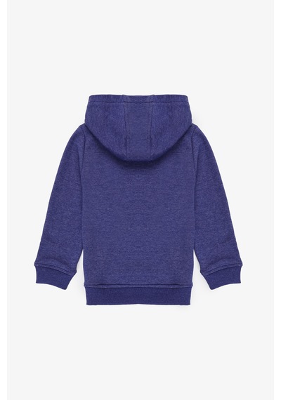U.S. Polo Assn. Erkek Çocuk Mor Sweatshirt 50314005-vr038