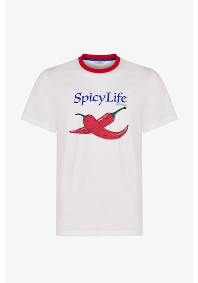 Penti Erkek Renkli Spicy Life Şortlu Pijama Takımı
