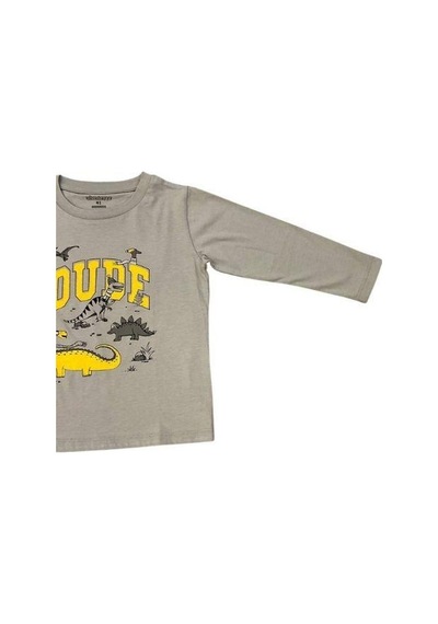 Divonette Erkek Çocuk Dinazor Baskılı Uzun Kollu T-shirt-15088 Gri