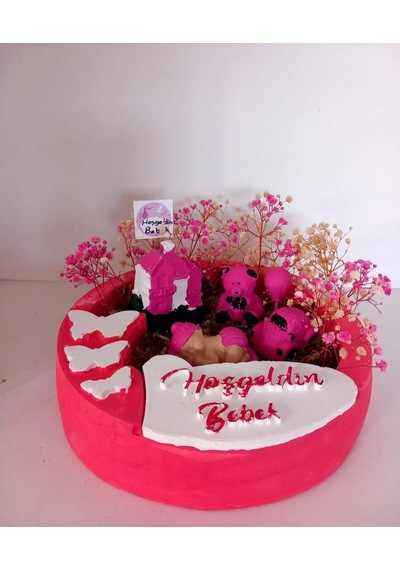 Hoşgeldin Kız Bebek 2 Teraryum Teraryum