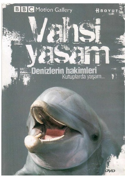 Bbc Motion Gallery - Vahşi Yaşam Denizlerin Hakimleri Kutuplarda Yaşam - Dvd
