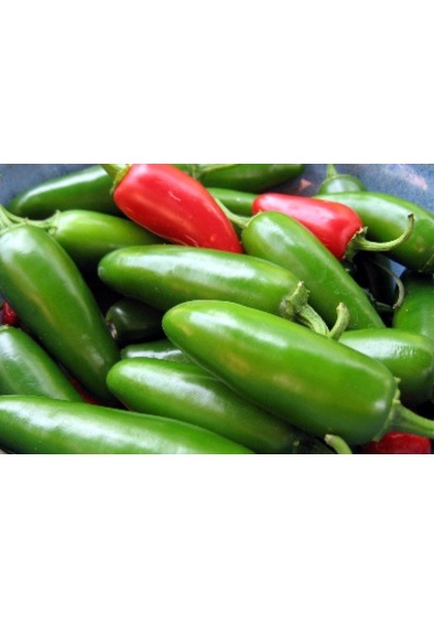 10+ Jalapeno Tam Acı Biber Tohumu N112811