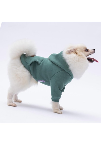 Pettrend Çağla Yeşil Kanguru Cepli Kedi Köpek Hoodie Sweatshirt