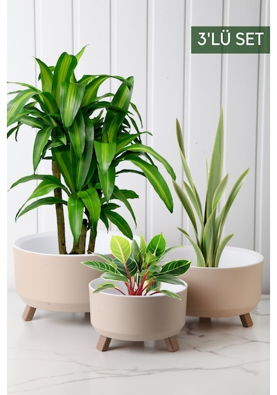 Nandy Home Tripot Model Saksı Seti Krem 3'lü