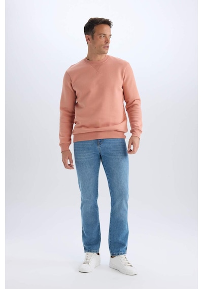 DeFacto Regular Fit Bisiklet Yaka Kalın Basic Düz Sweatshirt T3777AZ25SPPN602