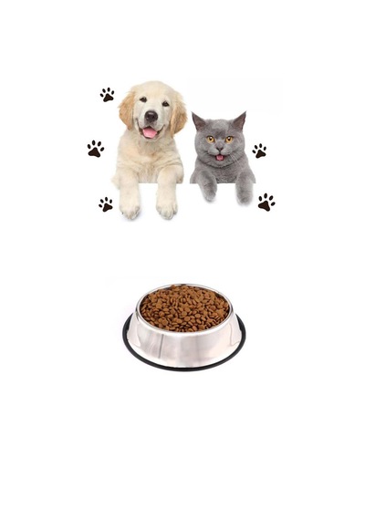 Hayvanlar İçin Çelik Kaydırmaz Küçük Boy Su Mama Vb Kabı Kedi Köpek Su Mama Kabı Alt Taban 15,5 Cm