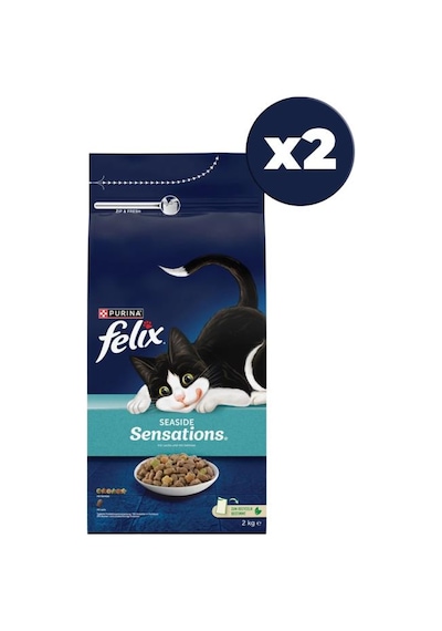 Felıx Purina Somonlu Yetişkin Kuru Kedi Maması 2 Kg 2 Adet