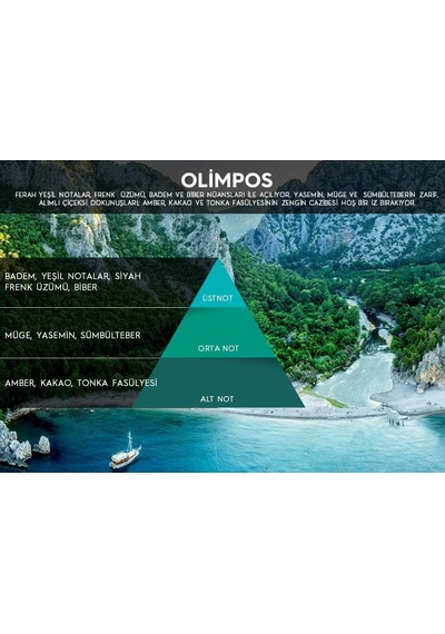 Rulopak Cosmic M5 Koku Makinası Kokusu, Olimpos Abundance Prosperity
