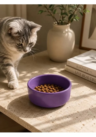 Hubrendy Sh Kase Model Beton Kedi Köpek Mama Ve Su Kabı 15cm Çap 5cm - Mor