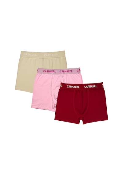 Carnaval Socks Carnaval Balance Line Erkek Boxer 3 Lü Set Çoklu