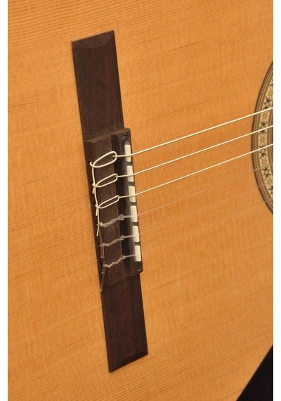 Camps Nac1 Eco Elektro Klasik Gitar Fıshman Classıc III