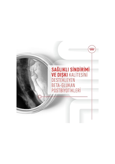 Royal Canin Immunity&digestion Chews Bağışıklık Ve Sindirim Sistemini Destekleyen Tamamlayıcı Ödül Maması 100 G