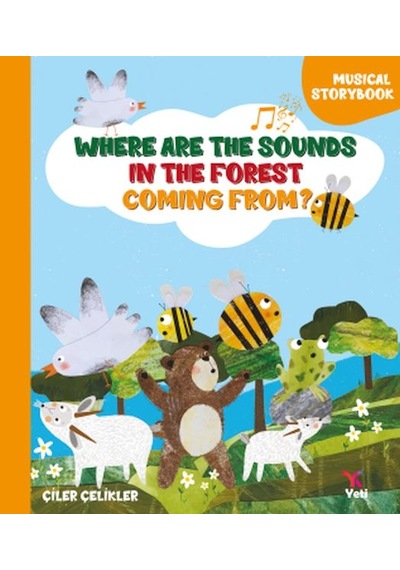 Where Are The Sounds In The Forest Coming From