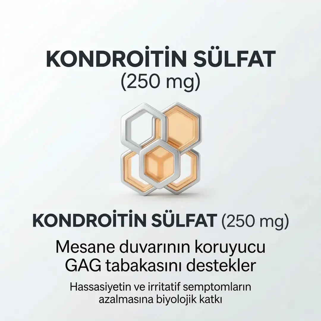 Faynblad D-mannoz, Cranberry Turna Yemişi , Kondroitin Sülfat Ve Hyaluronik Asit Takviyesi 30 Saşe