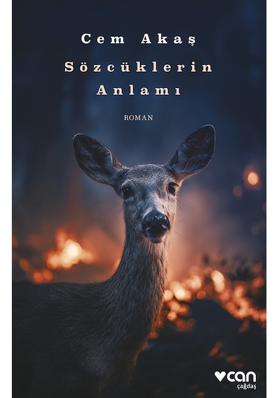 Sözcüklerin Anlamı - Cem Akaş