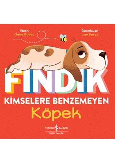 Fındık Kimselere Benzemeyen Köpek - Yqbx-763820