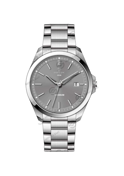 Hislon Cl221s-05ss Gri Erkek Kol Saati