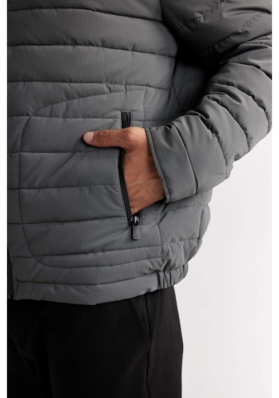 DeFacto Slim Fit Dar Kesim Dik Yaka Fermuarlı Mont D7497AX25SPGR221