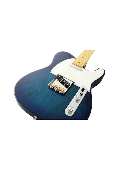 Fujigen Telecaster Elektro Gitar Nte100mahsbb