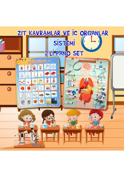 2 Set - 62 Parça Tox Iç Organlar ve Zıt Kavramlar Keçe Cırtlı Duv