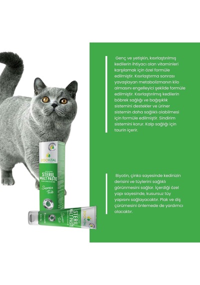 Tr Steril Paste Kısırlaştırılmış Kediler İçin Vitamin Macun 100g