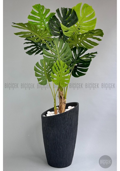 Yapay Monstera Ağacı Deve Tabani 190 Cm Antresi T Datça Saksıda Antresit