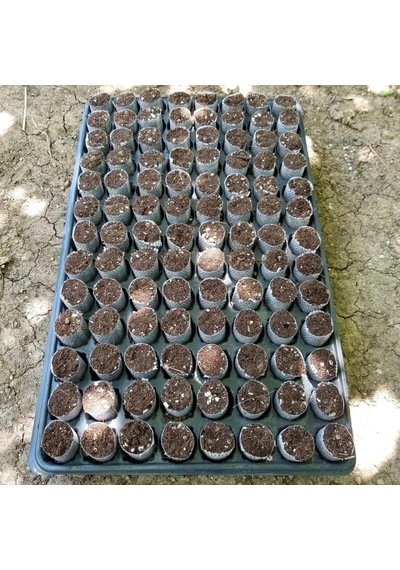832 Adet Paper Pot( 8 Viyol )Hızlı Çimlenme Sağlayan Tohum ve Çelik Köklendirme