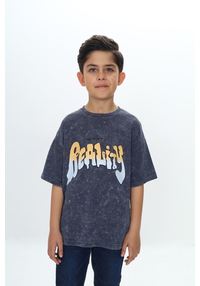 Toontoy Kids Toontoy Erkek Çocuk Reality Baskılı Tişört Füme