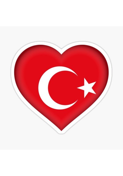 Türkiye Bayrak Sticker Oto Etiket Araba Yapıştırma 16Cm