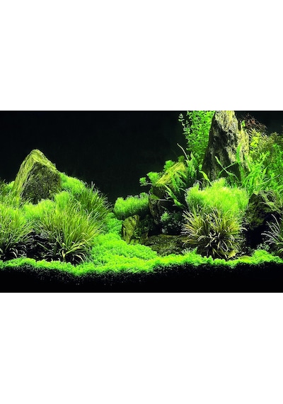 Kanki Pet Kp7045035 Akvaryum Arka Fon Yapıştırma 70 X 45 Cm