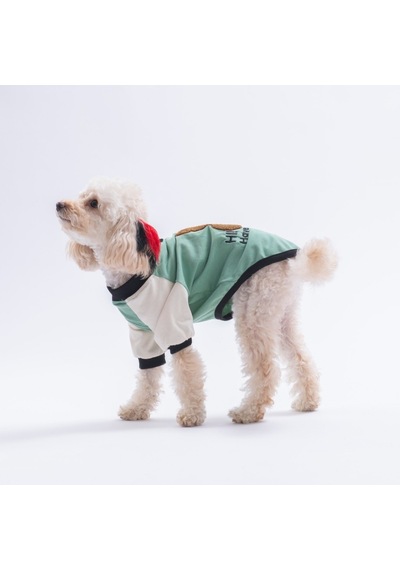 Green-yeşil Baby Teddy Sweat Kedi Köpek Sweati - Kedi Köpek Kıyafeti