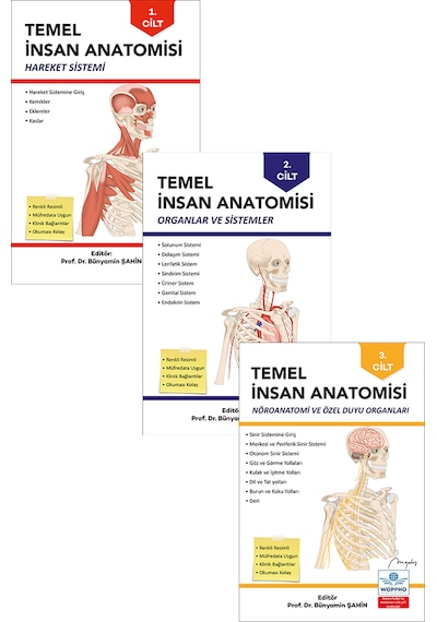 Temel Anatomi Seti 3lü