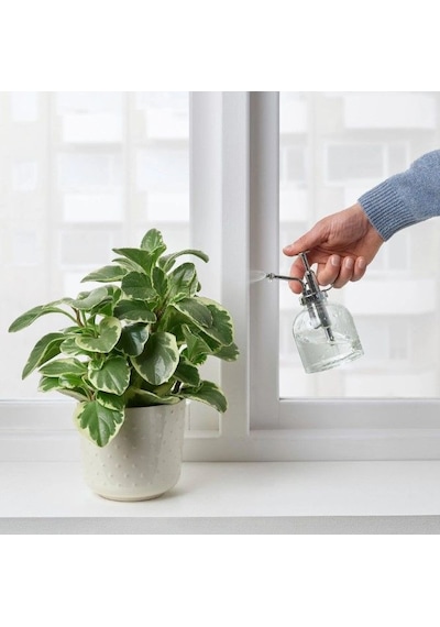 Ikea Sesamfrön Bitki Sprey Şişesi 0,25 L 16x8 Cm Şeffaf Krom