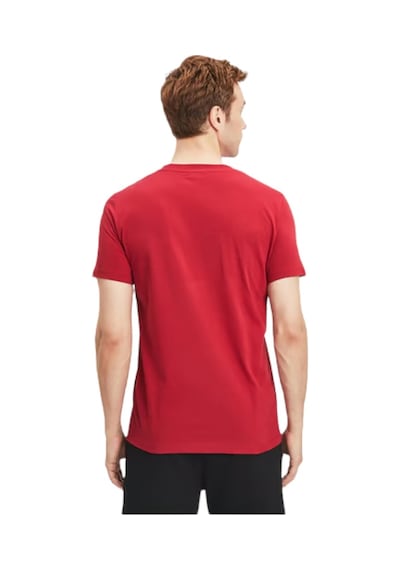 Gsstore Galatasaray Lisanslı Aslan Baskılı Sarı T-shirt Bayrak Ve Lazer Kutu Hediyeli Kırmızı