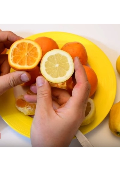 Tüplü Yoğun Kokulu Finike Beyaz Limon  Fidanı