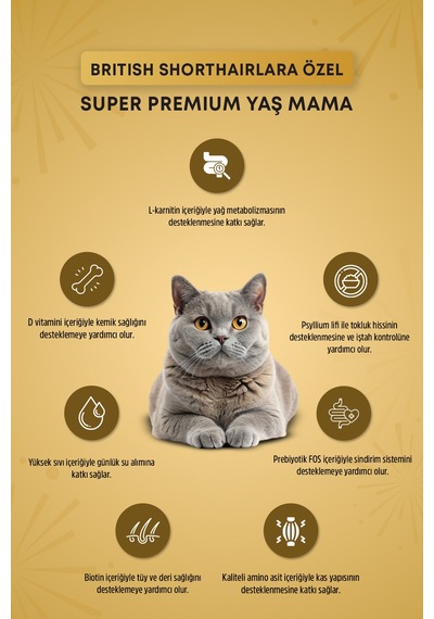 Reflex Plus Britsh Shorthair Yetişkin Kedi Konservesi 85gr X 6 Adet